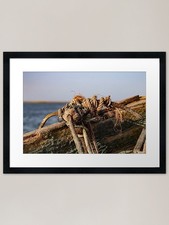 The old rope framed - the,