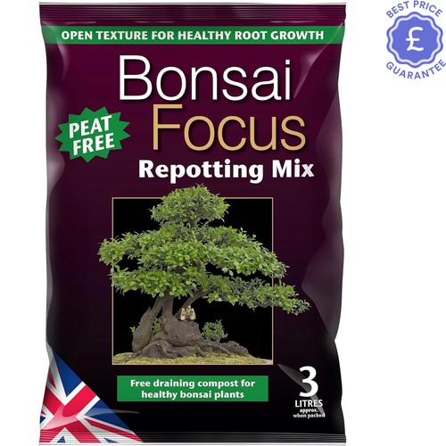 Bonsai focus repotting mix - repotting,