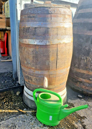 Whiskey gallon oak - whiskey,