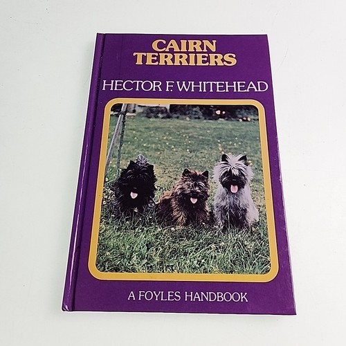 Cairn terriers hector - cairn,