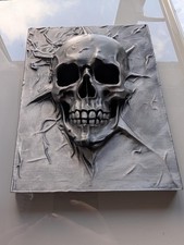 Hand painted skull wall art