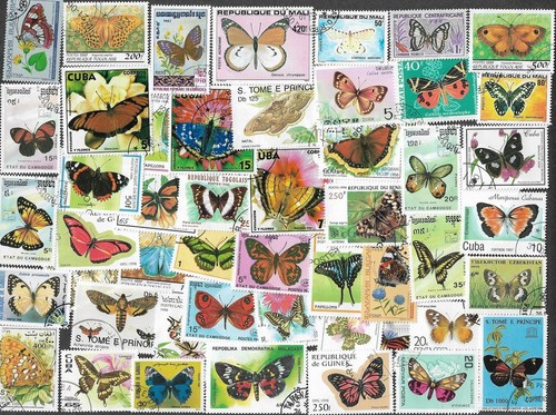 Butterflies and moths nature - butterflies,