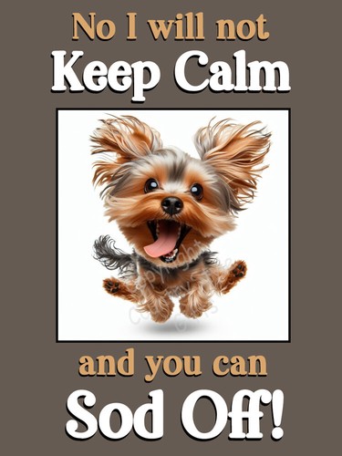 Yorkie yorkshire terrier dog - yorkie,
