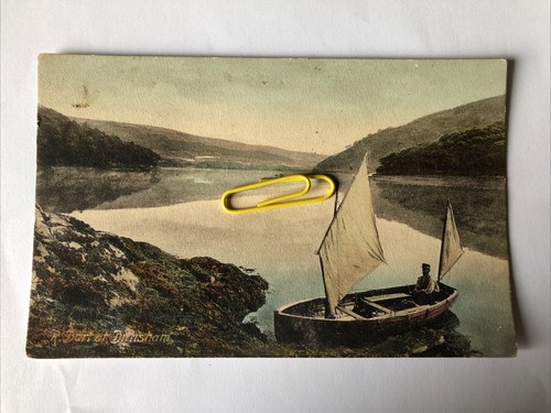 Dart dittisham sailing - r.dart,