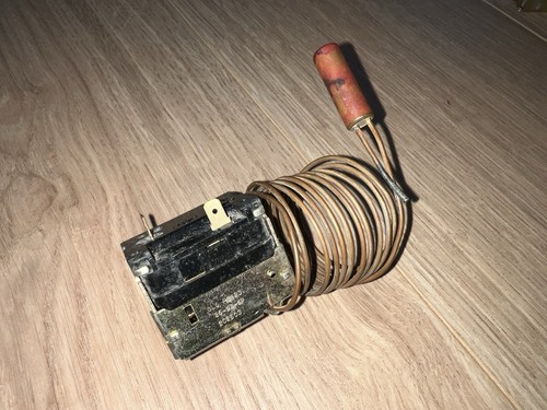 Glowworm 202503 s202503 - glowworm,
