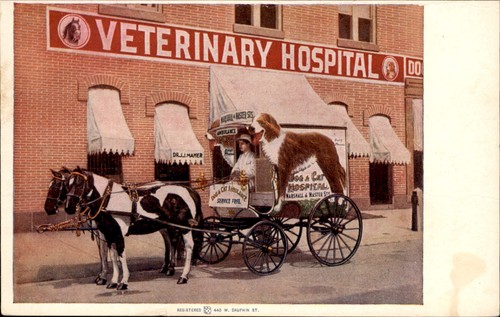 Veterinary hospital wagon dog - veterinary,