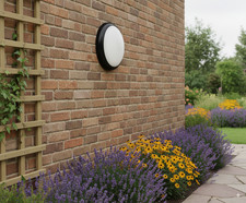 Dusk Till Dawn Sensor  LED