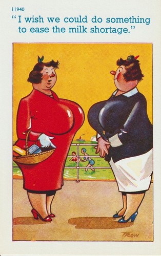 Vintage saucy seaside - saucy, postcard