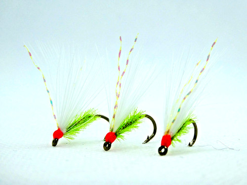 Trout cats whisker - trout,
