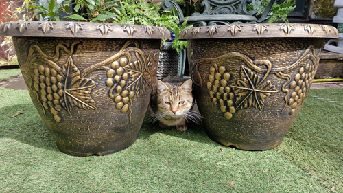 Xxl large 36cm 46cm - , or