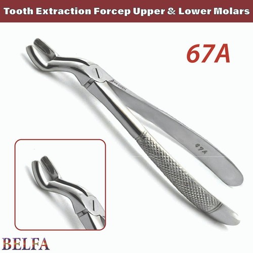 Dental tooth extraction forcep - dental,