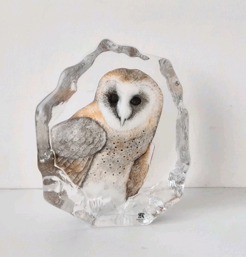 Maleras wildlife barn owl - maleras,
