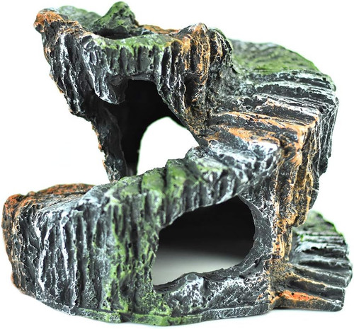 Small reptile ladder turtle - reptile,