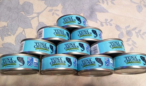 Tins tuna chunks in - tins,