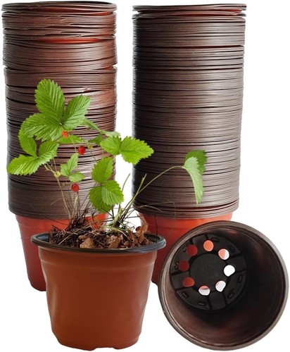 Armo 100 pack - plastic, plant