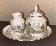 Miniature Aynsley Wild Tudor