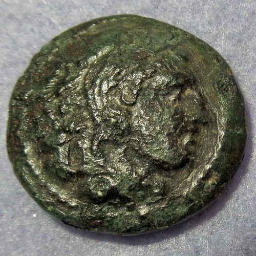 Alexander the great wearing - alexander,