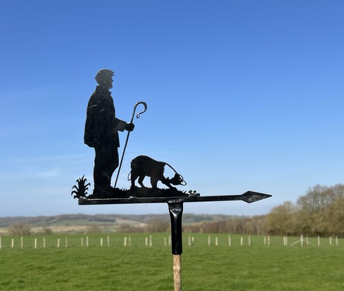 Stainless steel shepherd and - shepherd,