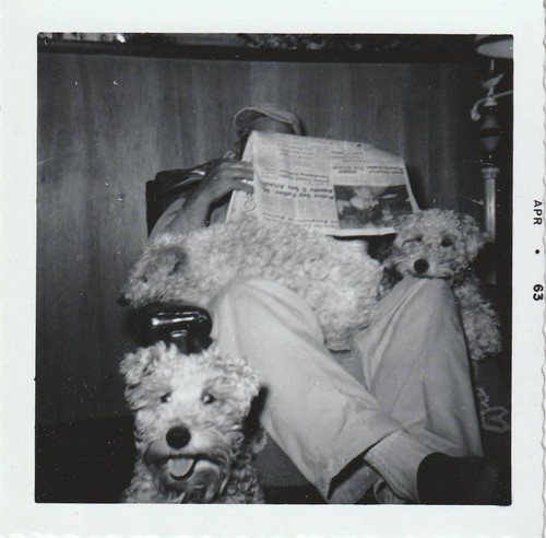 Photo snapshot vintage found - photo,