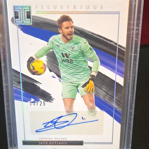 Panini impeccable 2020 21 - panini, 2020-21