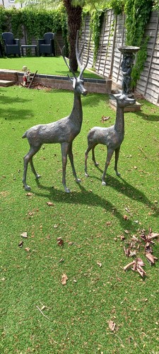 New pair garden - of,