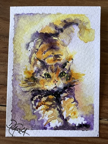 Watercolor aceo painting tabby - watercolor,
