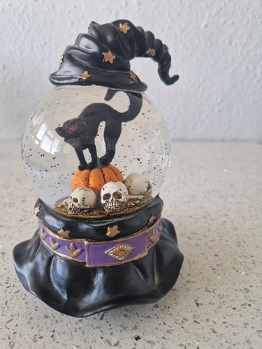 Maxx halloween cat on - maxx,