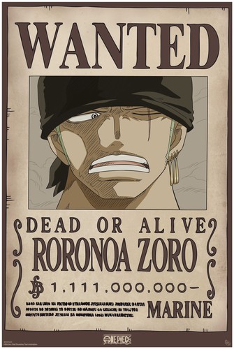 Eye one piece wanted zoro - gb,