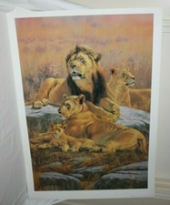 The Lion Kingdom by Kim