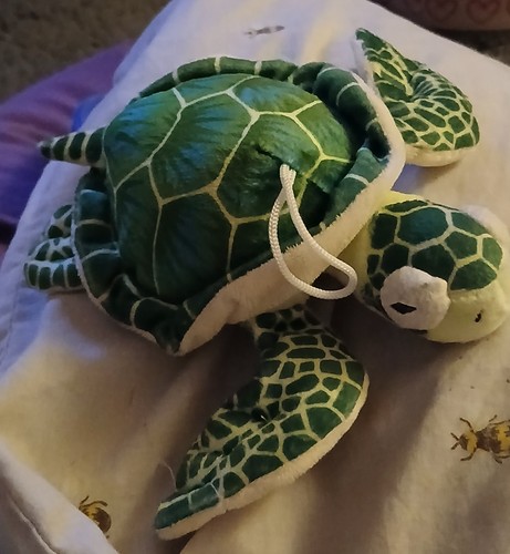 Tortoise turtle stuffed toy - turtle,