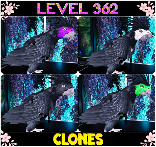 Parrot level 362 - level,