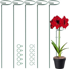 5 Pack Plant Support Stakes