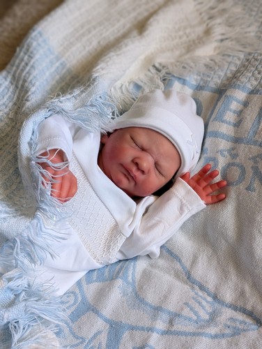 Exceptional reborn kovu - exceptional,