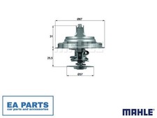 Thermostat, coolant for AUDI