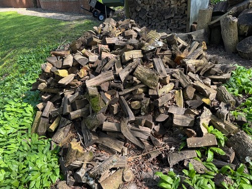 Ash firewood split - ,