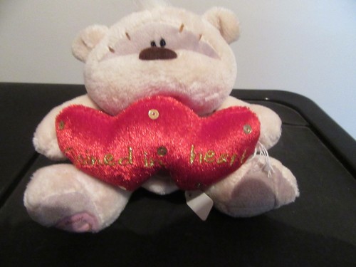 Fizzy moon bear - fizzy,