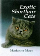 Exotic Shorthair Cats,Marianne