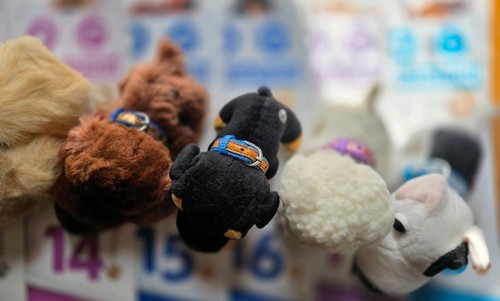 The dog collection vintage - dog,