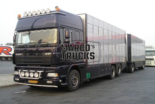 Truck photo daf livestock - truck,
