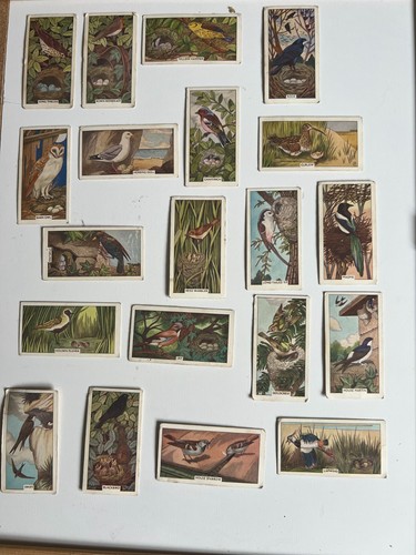 Sunlight soap trading cards - sunlight,