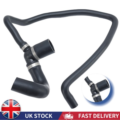 Lower radiator outlet - lower, hose