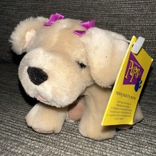 Guide Dog Association Penny