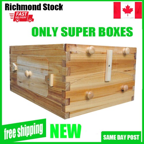 Auto bee hive - auto,