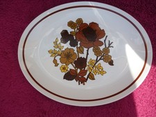 Vintage Midwinter Roselane