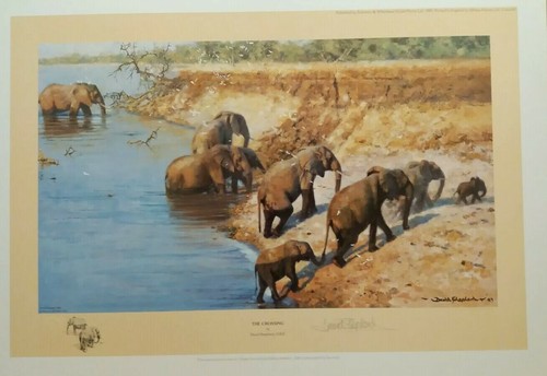 The crossing elephants - crossing,