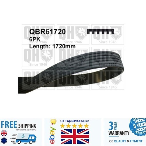 Ribbed belt for vw - v,