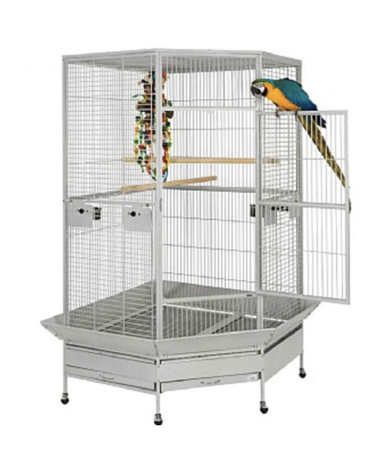 Liberta raleigh corner parrot - liberta,
