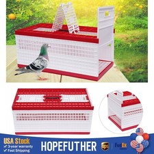 Racing Pigeon Carrier Box Bird