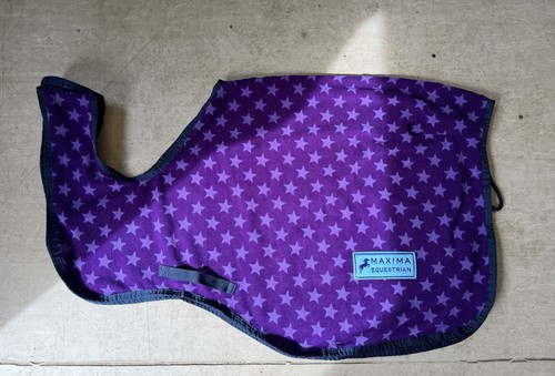 Pony exercise quarter sheet - quarter,