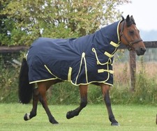 TURNOUT RUG HEAVYWEIGHT WINTER
